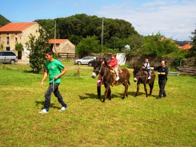 En burro